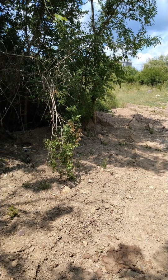 земля г Севастополь с Передовое ул Нагорная р-н Балаклавский Орлиновский муниципальный округ, Крым, г Ялта, Алупка фото 5