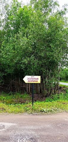 Сосновоборский г. о., КП Золотая долина, 1-я ул., 7 фото