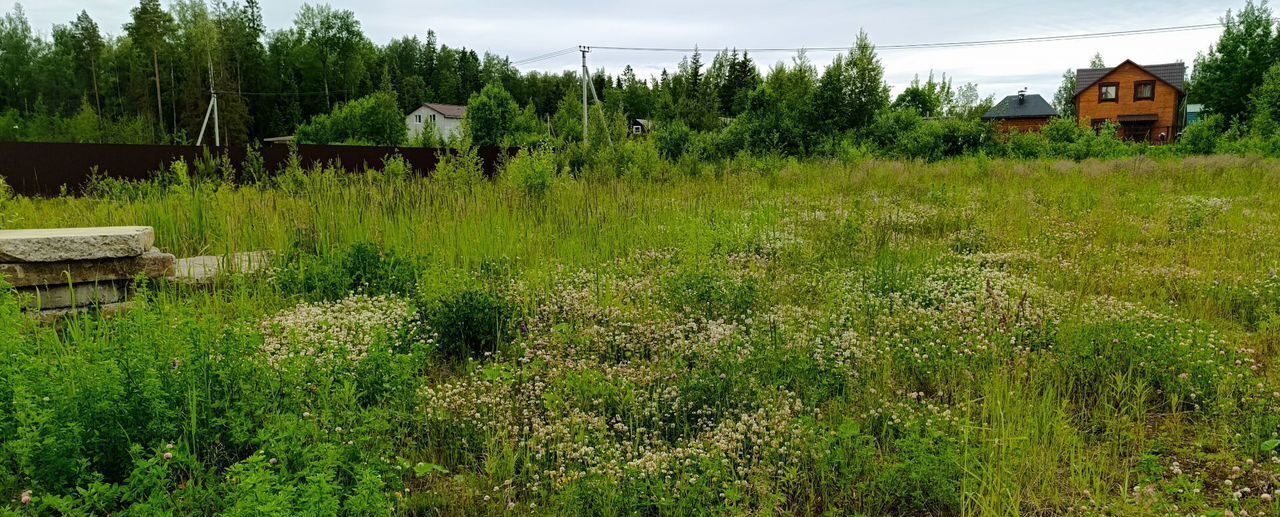 земля г Сосновый Бор Сосновоборский г. о., КП Золотая долина, 1-я ул., 7 фото 10