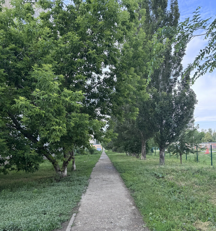 квартира г Ульяновск ул Ефремова 151 4-й УЗТС м-н фото 28