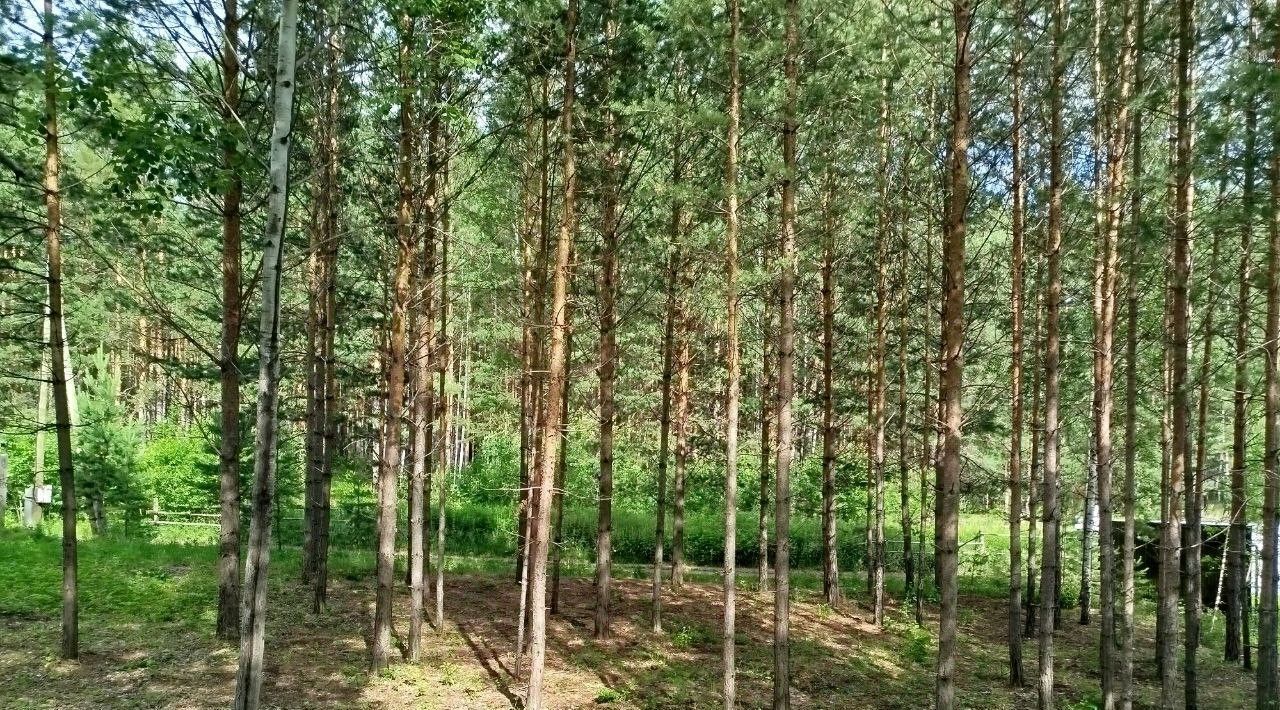 земля р-н Сысертский г Сысерть сад Бытовик КС фото 4