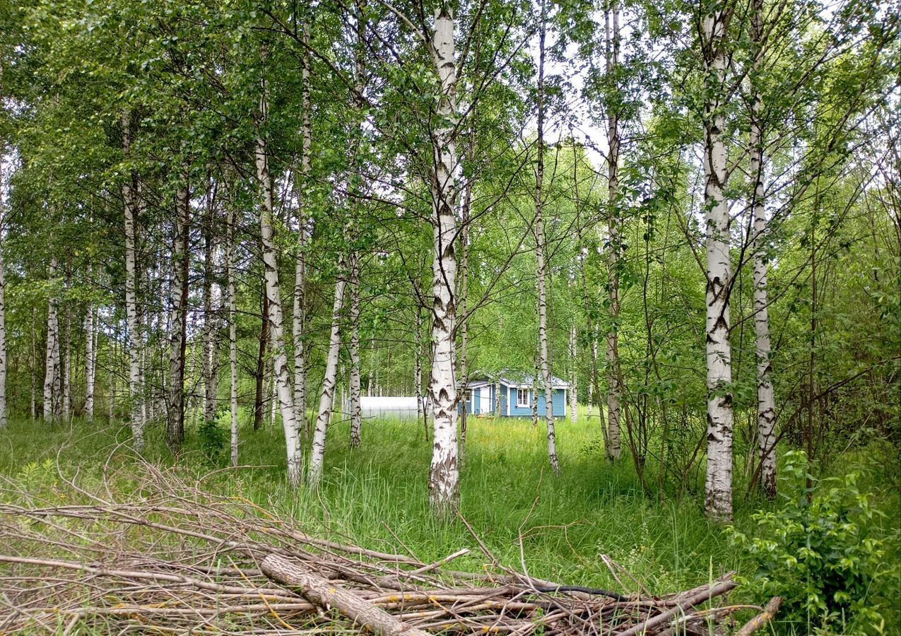 земля г Ижевск ул Солнечная 24 Завьяловский р-н, ДНТ Соловушки фото 5