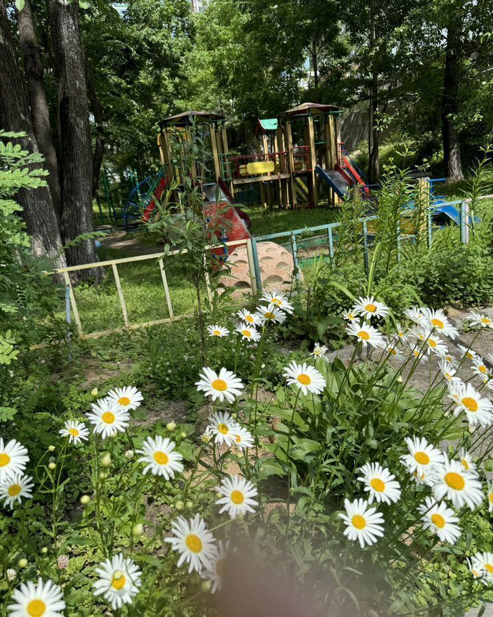 квартира г Хабаровск р-н Центральный б-р Уссурийский 4 фото 12