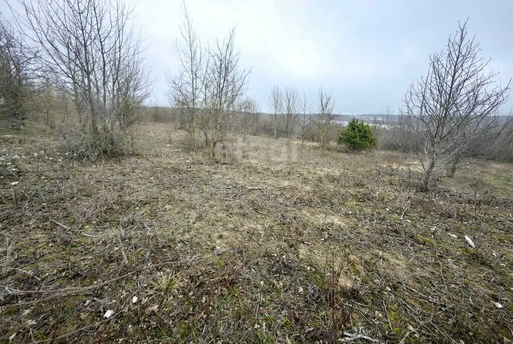 земля г Новороссийск с Борисовка фото 3