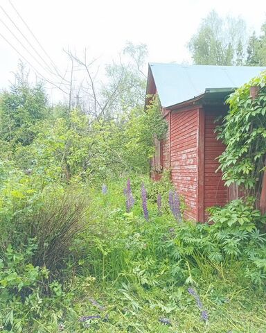 снт Электрик 68 км, Сычево, Волоколамское шоссе фото
