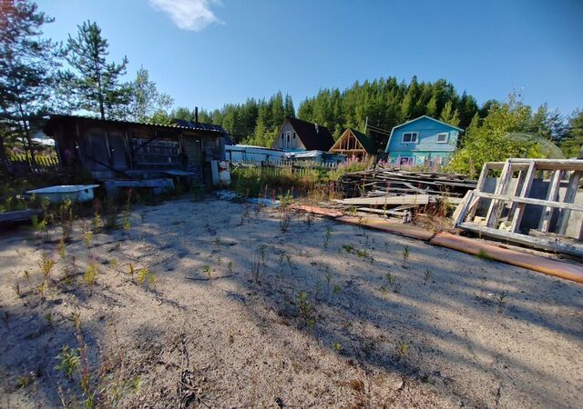 садоводческое товарищество Бытовик фото