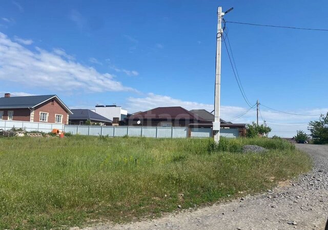 пер Каштановый фото
