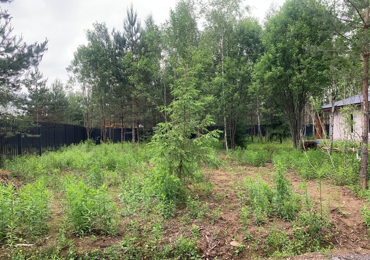 земля городской округ Богородский г Ногинск снт Расцвет 37 км, 98, Горьковское шоссе фото 7