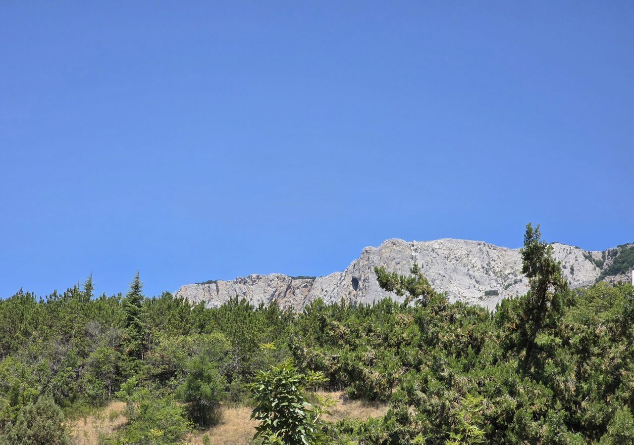 земля г Ялта с Оползневое ш Севастопольское 17 г Алупка фото 6