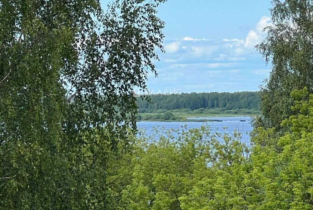 квартира р-н Рыбинский г Рыбинск ул Спортивная 5 Переборы фото 11