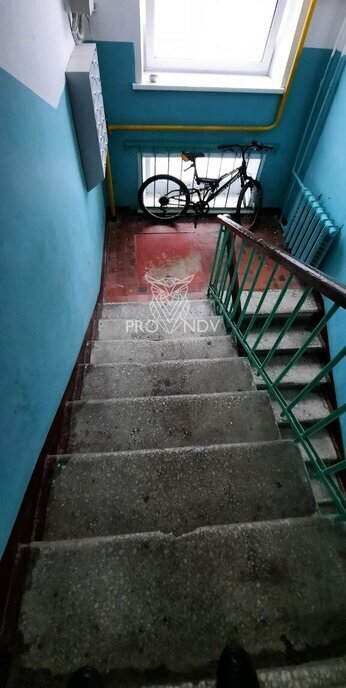 квартира городской округ Пушкинский г Красноармейск ул Морозова 4 фото 15