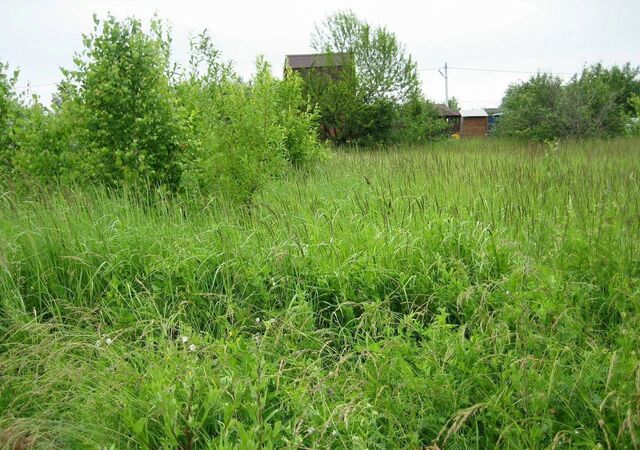 садоводческое товарищество Луч, Орёл фото
