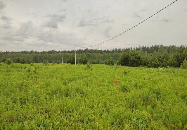 д Савино Заволжское сельское поселение, Тверь фото