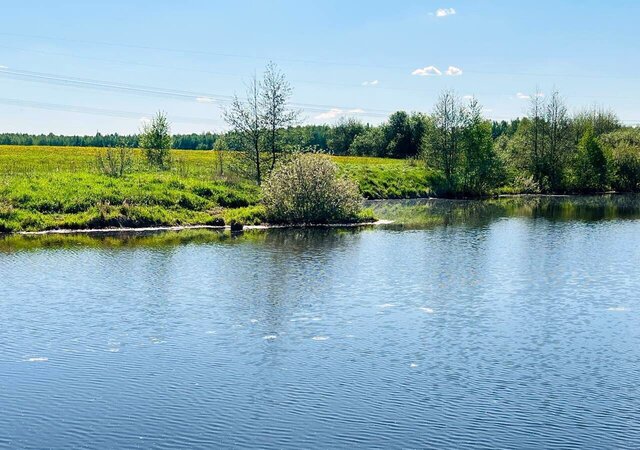 25 км, КП Оттепель, Володарского, Новорязанское шоссе фото