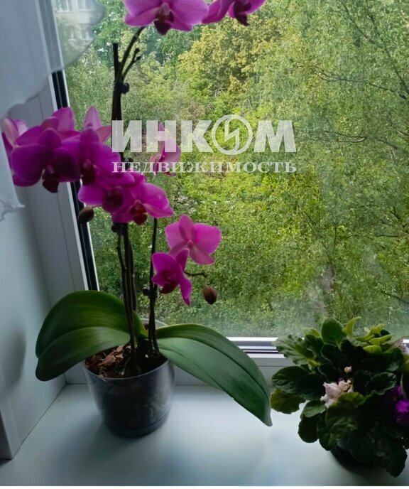 квартира г Москва метро Тимирязевская ш Дмитровское 37к/1 муниципальный округ Тимирязевский фото 9