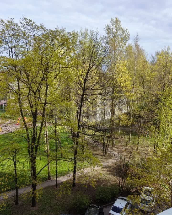 квартира г Санкт-Петербург метро Академическая пр-кт Пискарёвский 37 округ Полюстрово фото 19