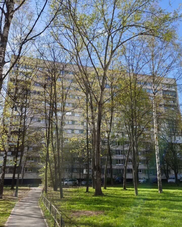 квартира г Санкт-Петербург метро Академическая пр-кт Пискарёвский 37 округ Полюстрово фото 20