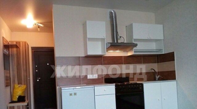 Заельцовская ул Фадеева 66/5 фото