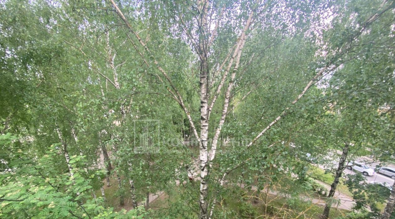 квартира г Владимир р-н Ленинский ул Красноармейская 49 фото 28