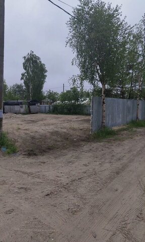 снт Трассовик Тюменская обл. фото