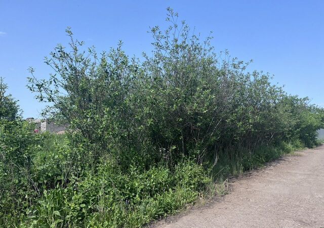 снт Березовая Грива Каенлинское сельское поселение, Нижнекамск фото
