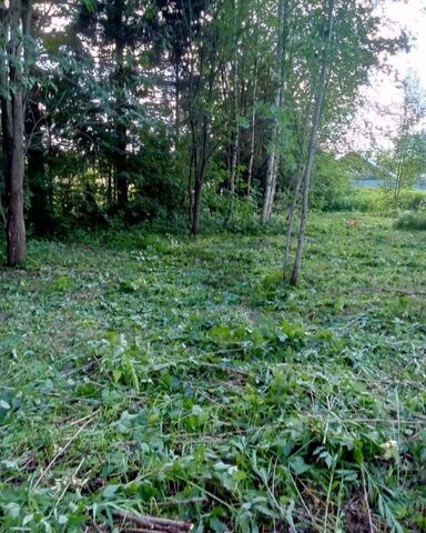 земля п Горки Ленинские 10 км, Видное, Новокаширское шоссе фото