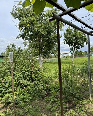 д Студенок Студенокский сельсовет, Железногорск фото