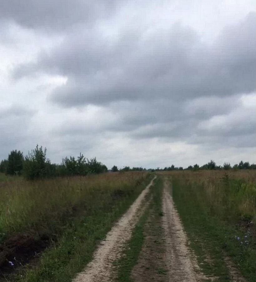 земля г Кашира Венёвский округ, сельское поселение Мордвесское, СТ Грибники, Тульская обл. фото 6