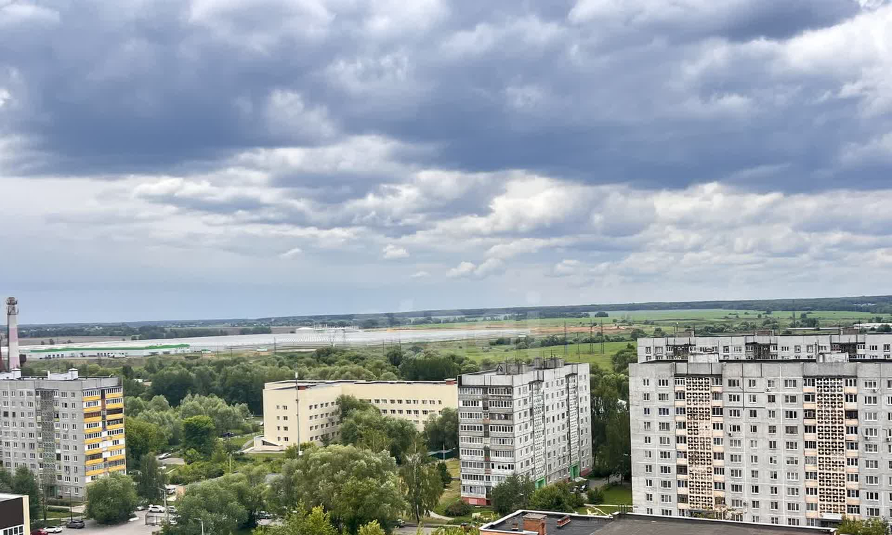 квартира г Воскресенск Новлянский ул Кагана 19 фото 29