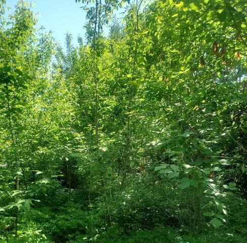 Жулебино, ш. Рязанское фото