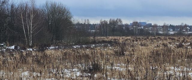 земля д Ловцово Домодедовская фото