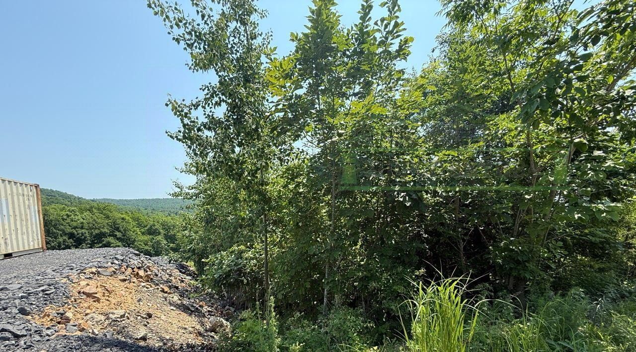 земля г Артем снт Глобус-1 фото 8