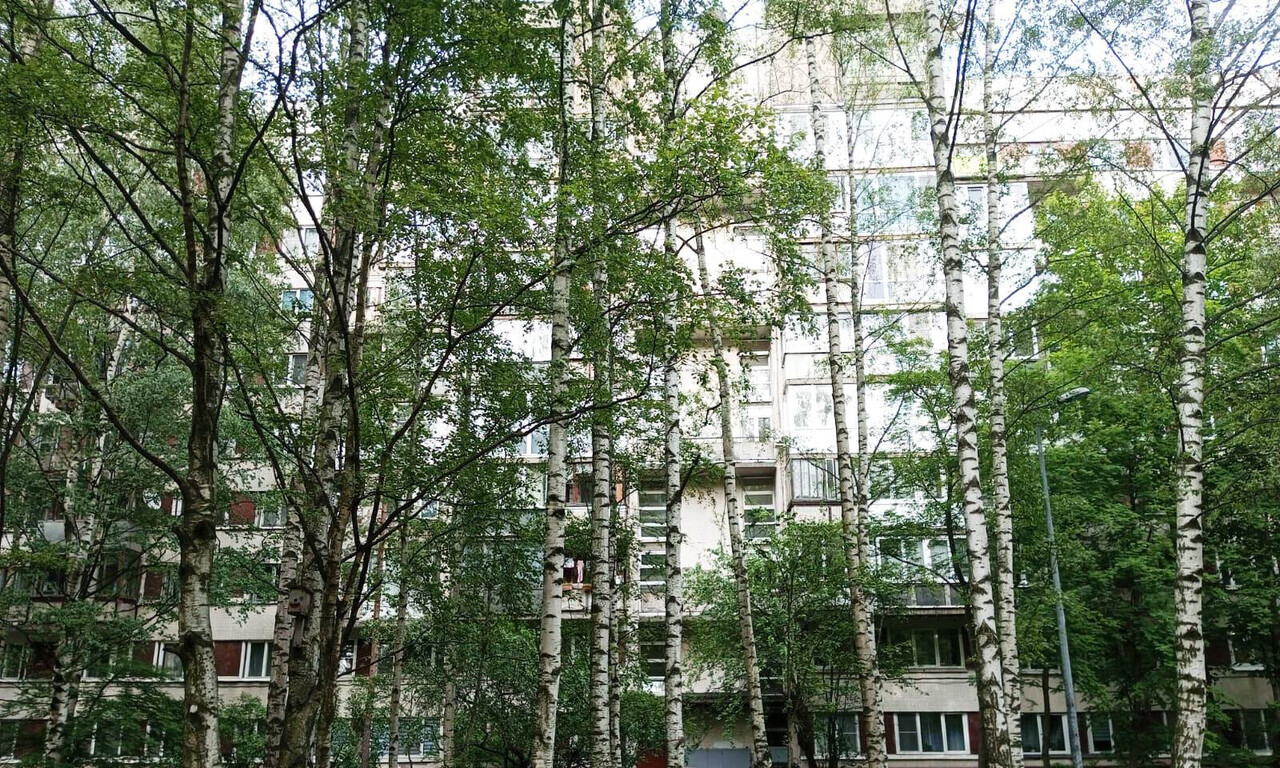 квартира г Санкт-Петербург метро Приморская Морской ул Наличная 36 к 3 лит А фото 32