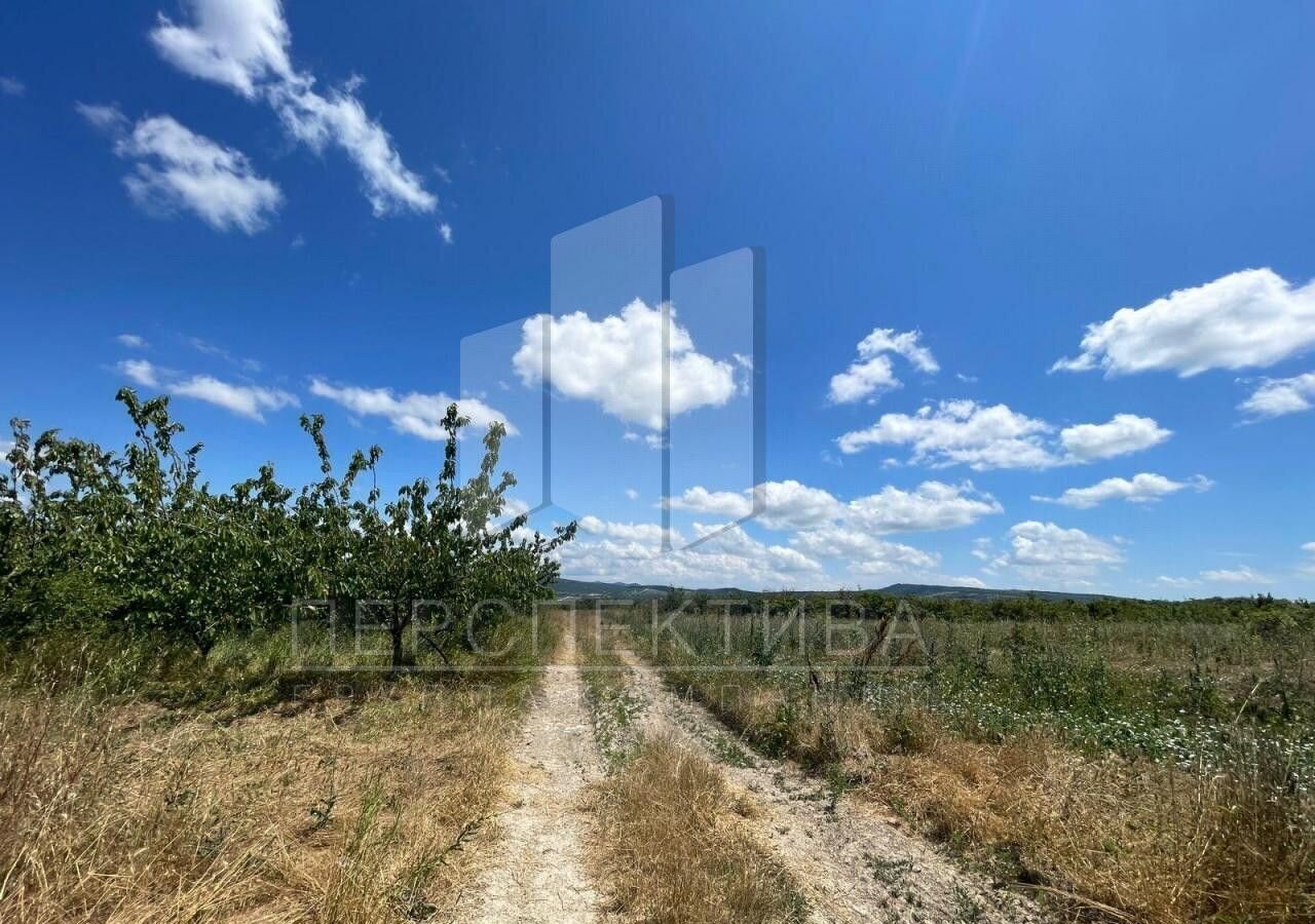 земля г Новороссийск ст-ца Раевская фото 3