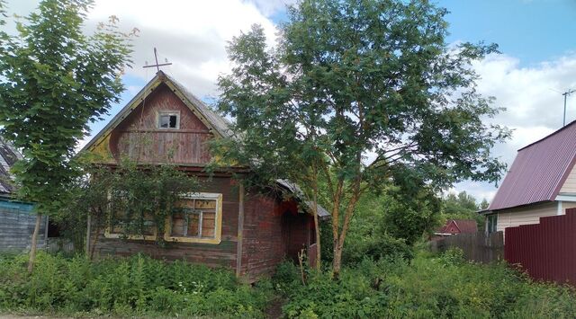 снт Белая Речка 2 надел, 185 фото