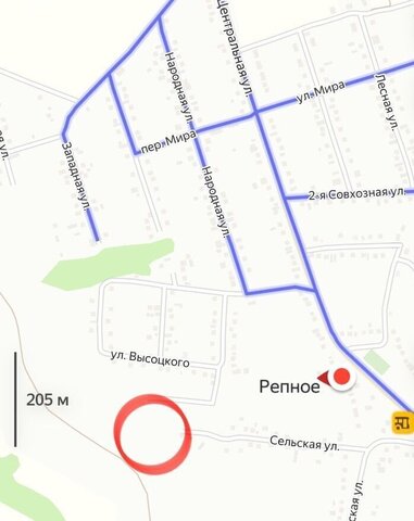 с Репное ул Сельская Дубовское сельское поселение, Майский фото