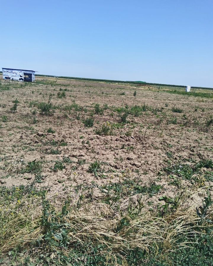 земля р-н Белореченский г Белореченск Белореченское городское поселение, садово-огородническое товарищество Ручеёк фото 1