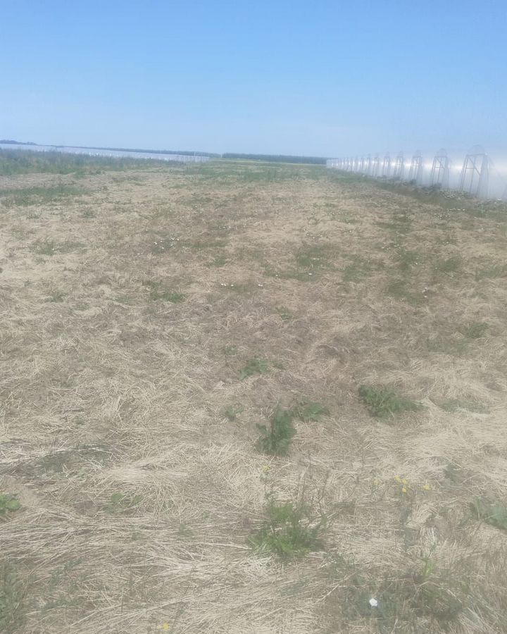 земля р-н Белореченский г Белореченск Белореченское городское поселение, садово-огородническое товарищество Ручеёк фото 4