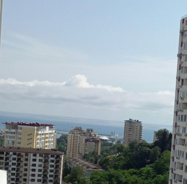 квартира г Сочи р-н Центральный ул Виноградная 22/1б фото 24
