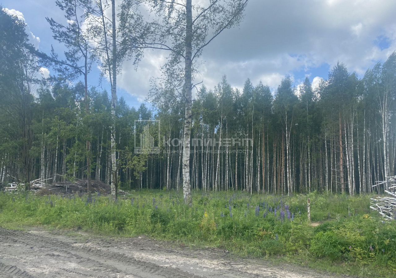 земля г Ковров 17Н-350 фото 4