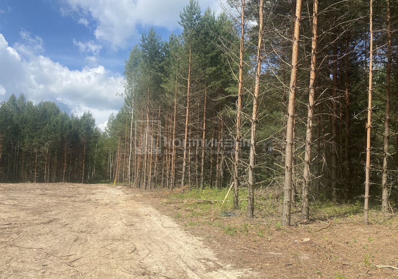 земля г Ковров 17Н-350 фото 4