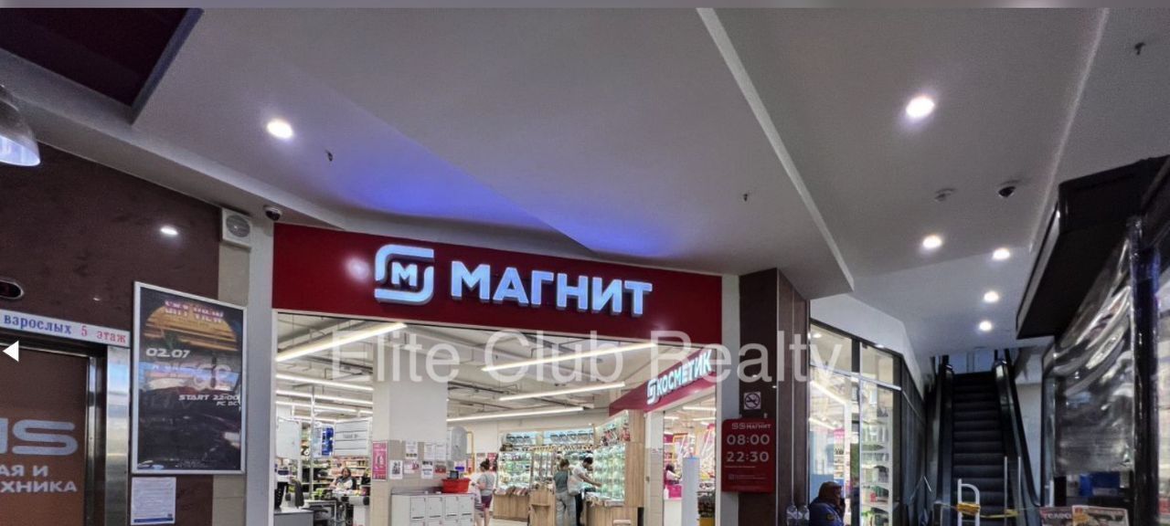 офис г Пушкин ул Полковая 1/25 метро Купчино фото 4