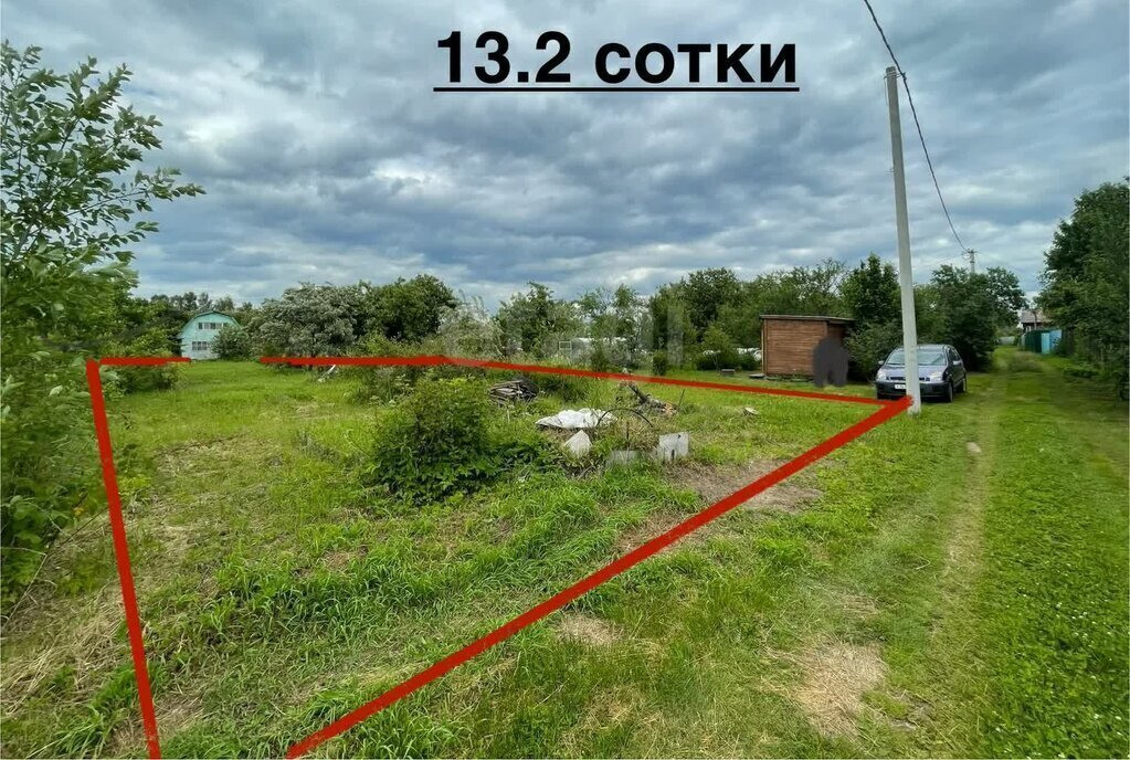 земля г Кострома садоводческое товарищество Мир фото 2
