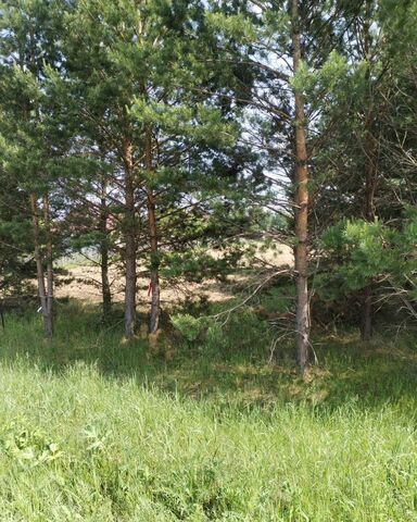 ул Строительная сельсовет, Емельяново, Устюгский фото