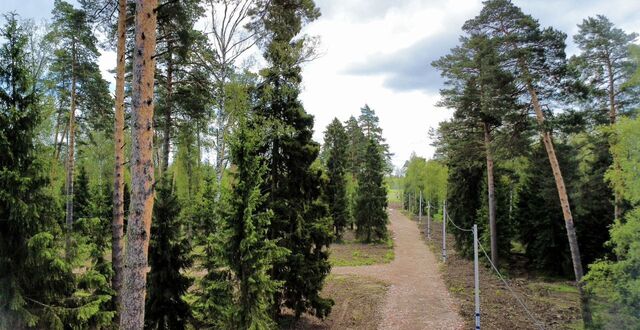 28 км, КП Литвиново вилладж, Фрязино, Фряновское шоссе фото