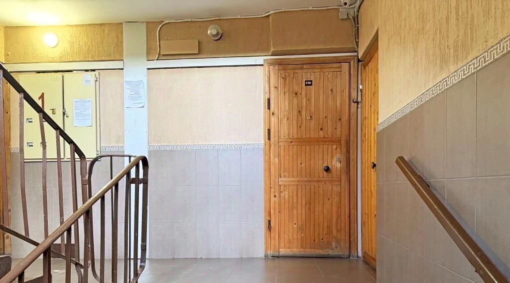 квартира г Санкт-Петербург метро Ладожская пр-кт Энтузиастов 53к/2 округ Ржевка фото 27