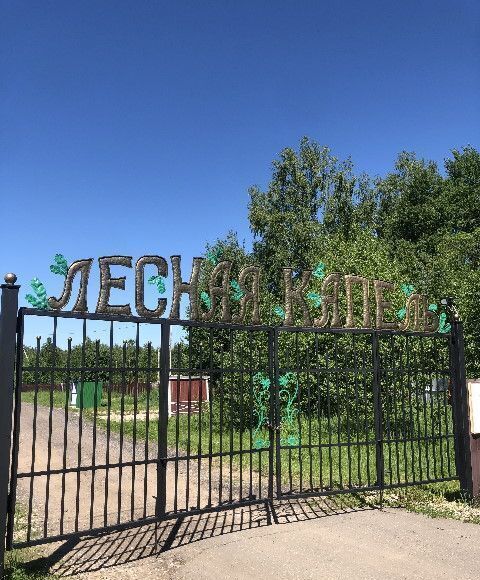 земля г Сергиев Посад дп тер. ТСНЛесная капель 80 км, Сергиево-Посадский г. о., Вербилки, Дмитровское шоссе фото 1