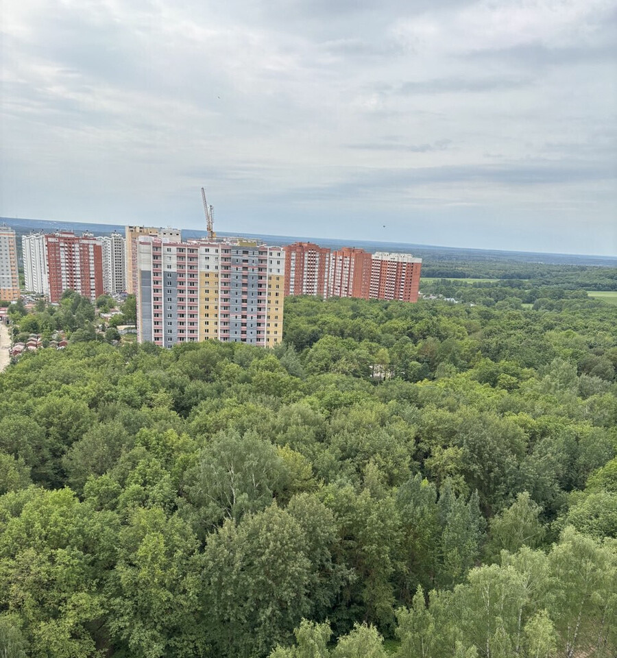 квартира г Владимир р-н Ленинский Верхняя Дуброва, 22Б фото 18