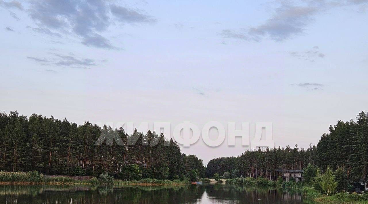 дом г Воронеж р-н Советский ул Малая Сосновая фото 19