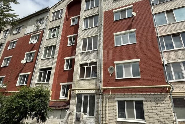 п Новые Дарковичи 17 фото